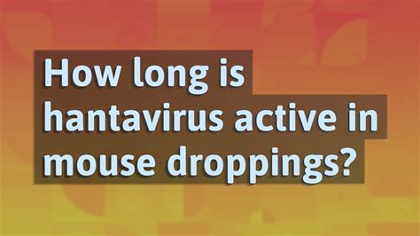 testing droppings for hantavirus|hantavirus lab test.